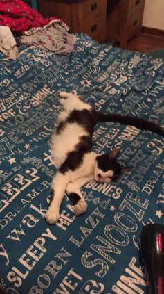 13443157_1092837350754884_594277571157740344_o